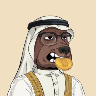 Terrius DeFi