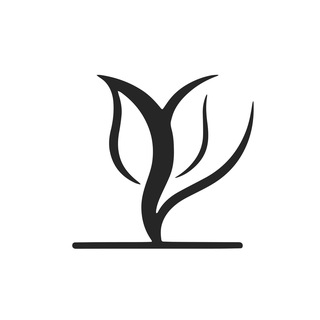 Augusways🌷奧古斯市場戰記 Q2🔊