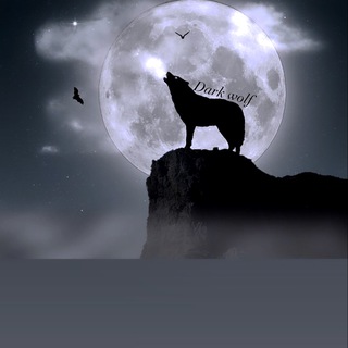 DARK 🌙WOLF☎️ CALL 看漲的