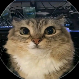 enotik_so2