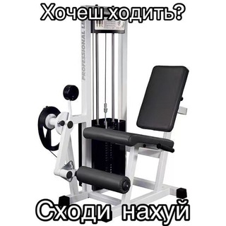 My gym(chat 💬)