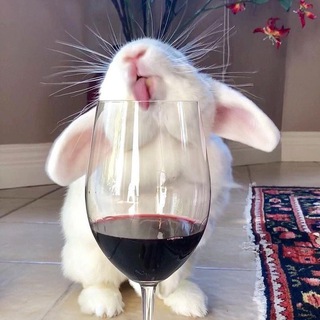 зайчаткин шёпот🐇
