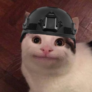 KОНТЕНТ