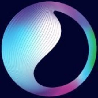 Singularity Dao