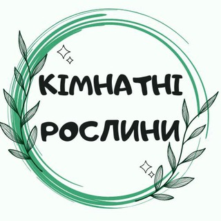 🪴 КІМНАТНІ РОСЛИНИ 🪴