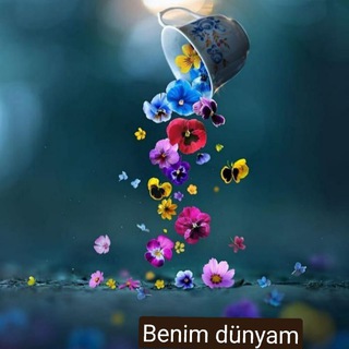 Benim dünyam