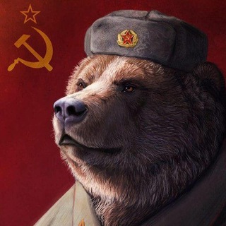 Региональный Админ