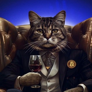 КРИПТОКОТ 🐈 CRYPTOCAT (FREE)