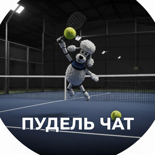 Падел Пудель - чат