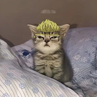 ᴋ ɪ s ᴀ ᴋ ɪ