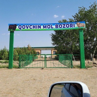 QOVCHIN MOL BOZORI