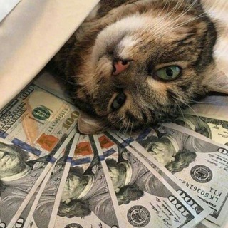 GM