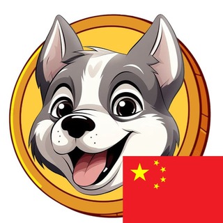 Husky inu China 🇨🇳