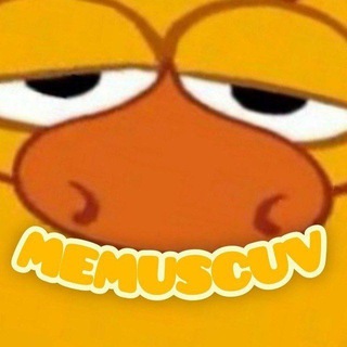 Чат MEMUSCUV