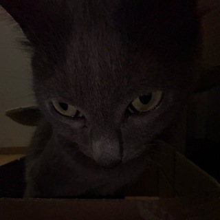 BEK