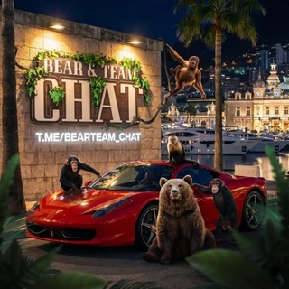 Bear Team Chat 🐻
