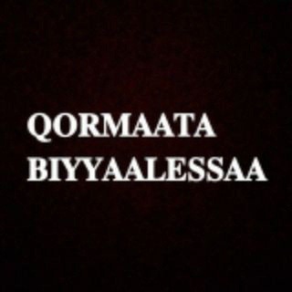 Qophii Qormaataa