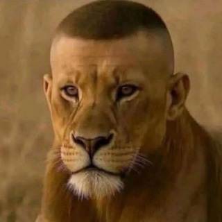 𓆏