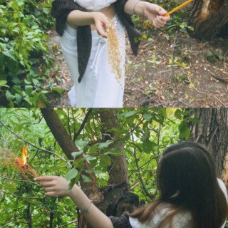witch forest