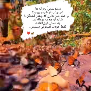 خانم شریعتی(ادمین فروش امیدی)