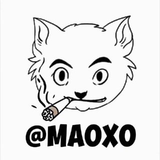 🐱貓黨-主席本人