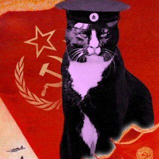Обр. связь НК