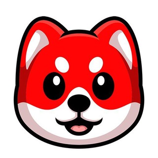 Baby Red Floki Announcement | Giveaways ☀️