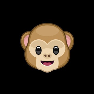 Monkeys 🐒
