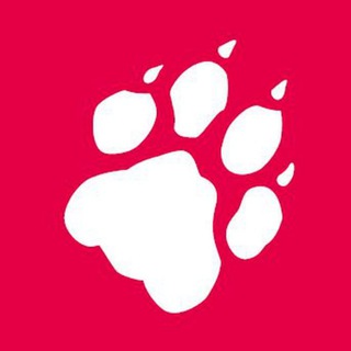 taz Berlin