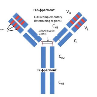 Oncolitatuzumab