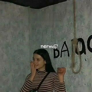 Nermdil
