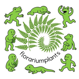 Florariumplants