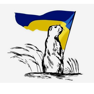 КУП'ЯНСЬК Gromada Group | Вузловий Ківшарівка Великий Бурлук Вільхуватка Дворічна Кіндрашівка Курилівка Петропавлівка Шевченкове