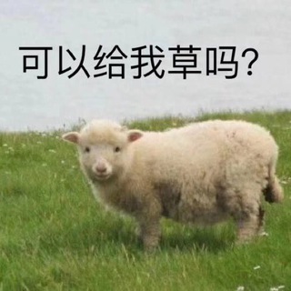 OowoO｜尼好，这是评论区