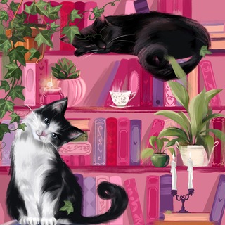 kot books 🐈 18+