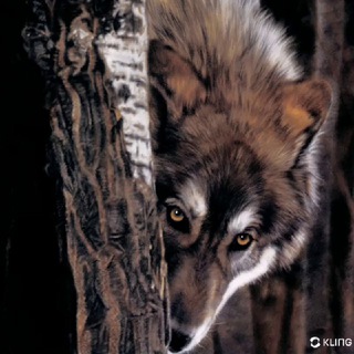 Wolh
