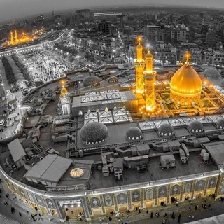 محمدرضا