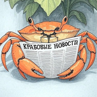 The Amusing News