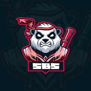 SBS NEWS📰