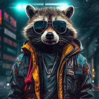 Mystery Raccoon