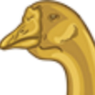 Goose Finance Spanish Community Group