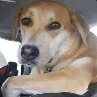 Meri MAA KI CHUT Lo bhai please
