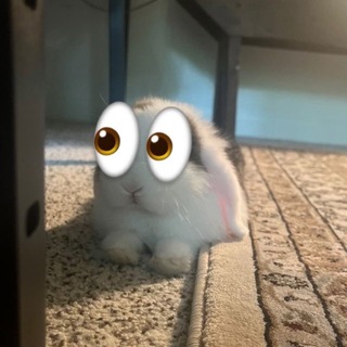 киорыч