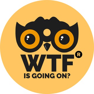 WTF is Going On®