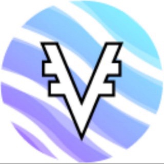 VyFinance Support