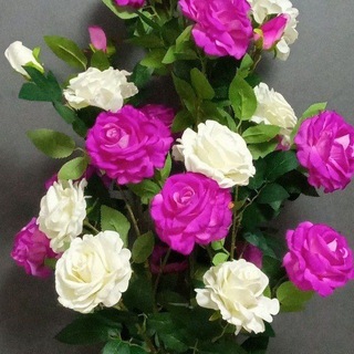 💐SUNIY GULLAR OLAMI💐