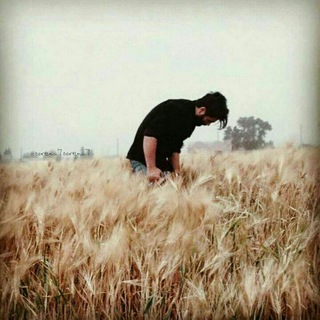 ‌‌‌Mohsen