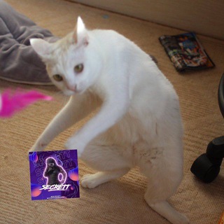 𝘀𝗲𝗰𝗿𝗲𝘁𝘁 𝗰𝘂𝗮𝗸𝘀​