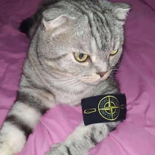 Pavel