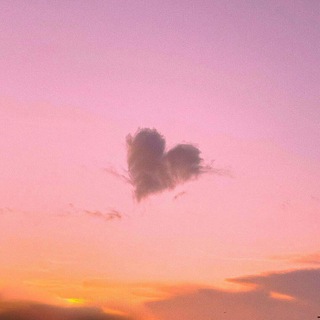 True_color_bot